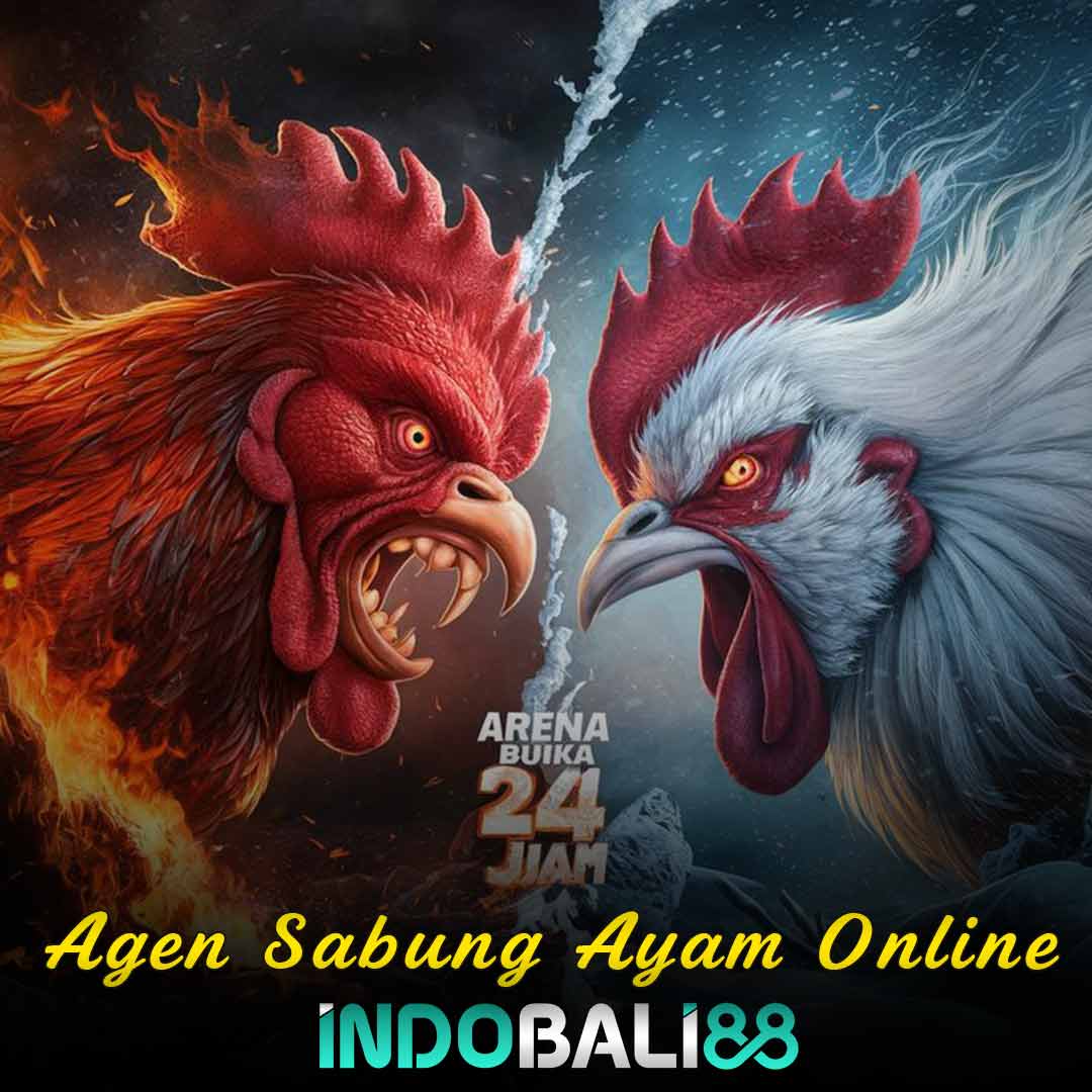 SV388 💣 Link Pasang Taruhan Sabung Ayam Online Terbaik Tersedia 24 Jam Resmi Terpercaya